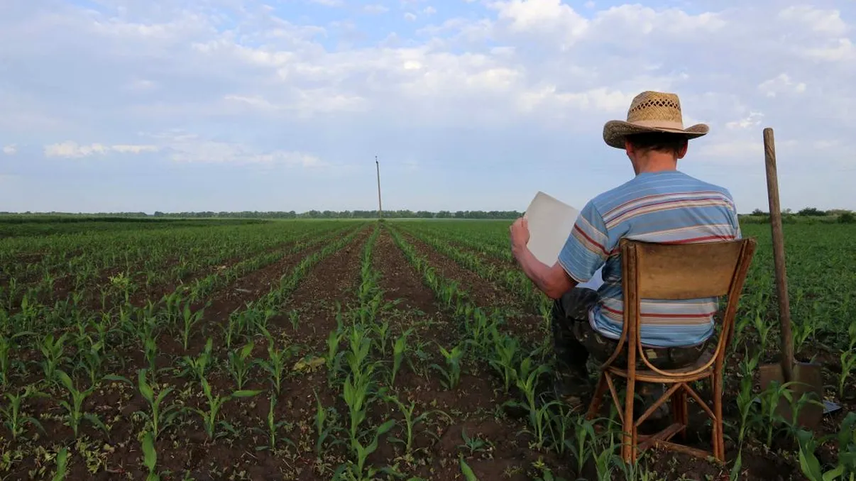 Salariu de 14.000 de lei în România. Nu e nevoie de facultate pentru acest loc de muncă