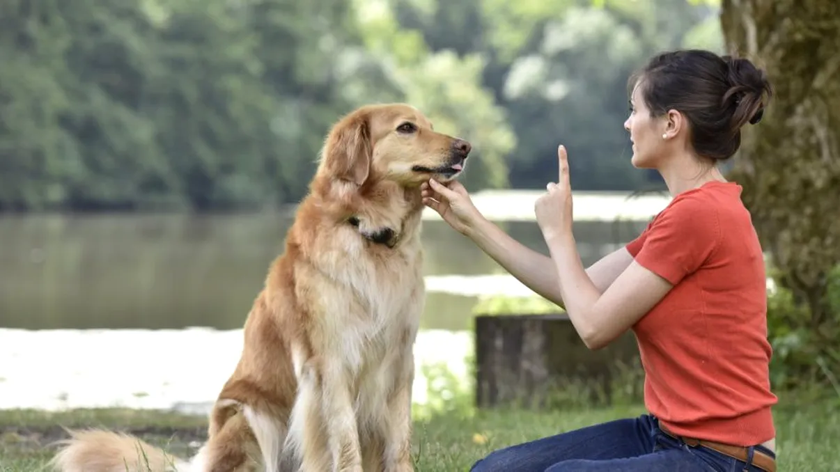Primul lucru pe care un câine îl miroase la tine. Ce mesaj subtil îi transmite stăpânului său imediat