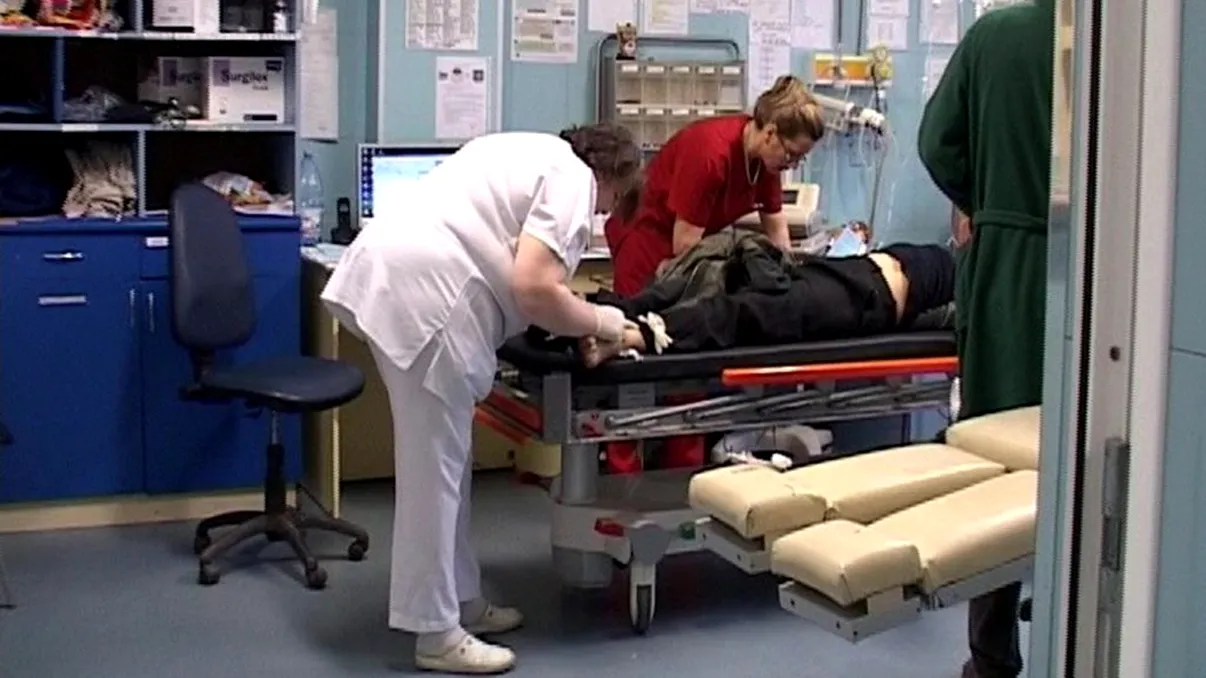 Autoritățile, în alertă. O femeie din Vâlcea a murit după ce a fost înțepată de o insectă. Ce s-a întâmplat