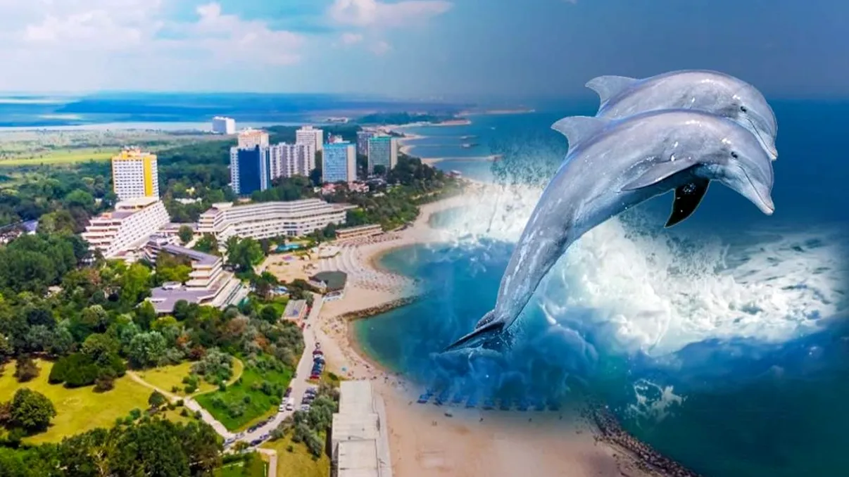 Fenomenul macabru de pe litoralul românesc. Ce s-ar putea să vezi dacă mergi la mare vara aceasta