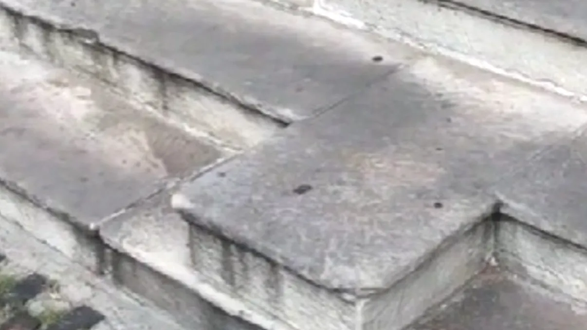 De ce unele clădiri din București au o treaptă diferită la intrare. Motivul te va surprinde, cu adevărat