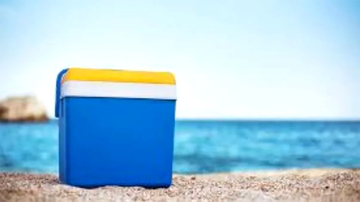 Cum să menții băutura rece pe plajă mai mult timp. Cu ce trebuie să învelești sticlele