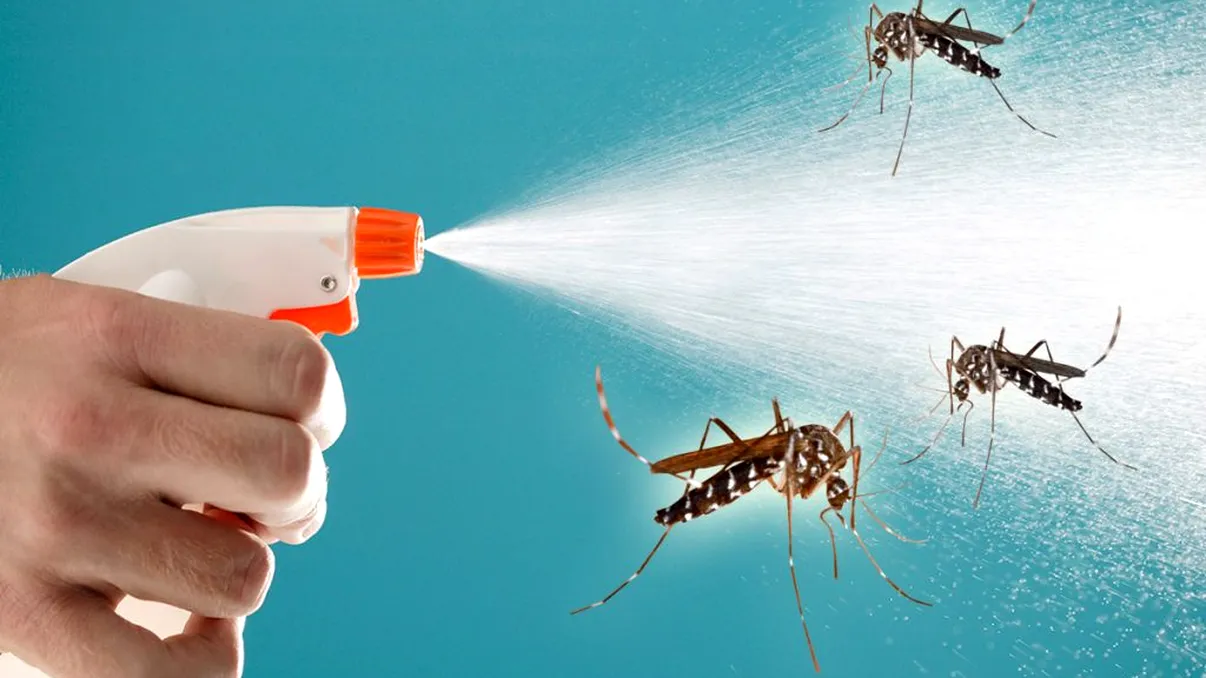 Cum scapi de țânțari rapid. Soluția naturală care elimină definitiv aceste insecte