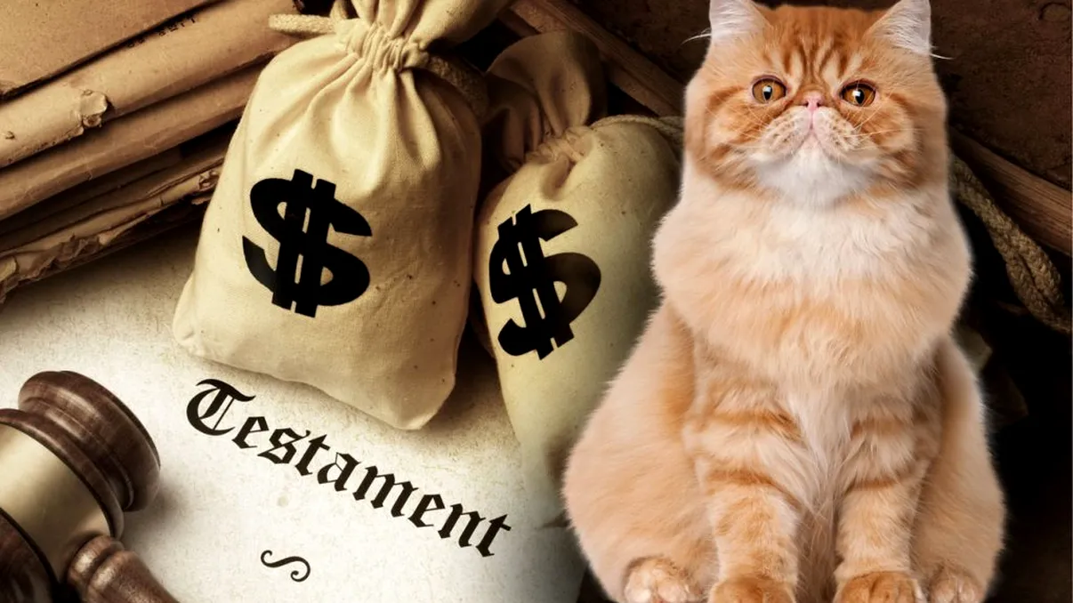 Pot moşteni pisicile, câinii sau alte animale averea stăpânilor lor în România? Ce spune legea, de fapt