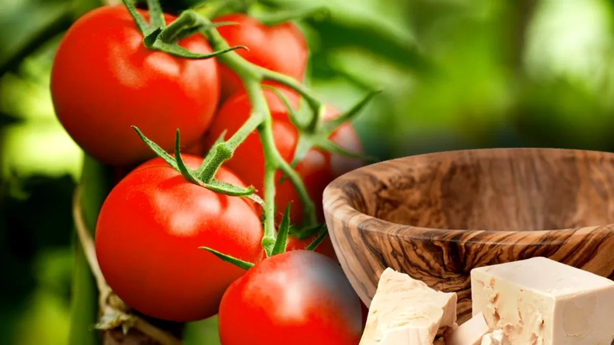 De ce să stropeşti roşiile din grădină cu drojdie. Secretul bătrânilor de la ţară, totul se va transforma