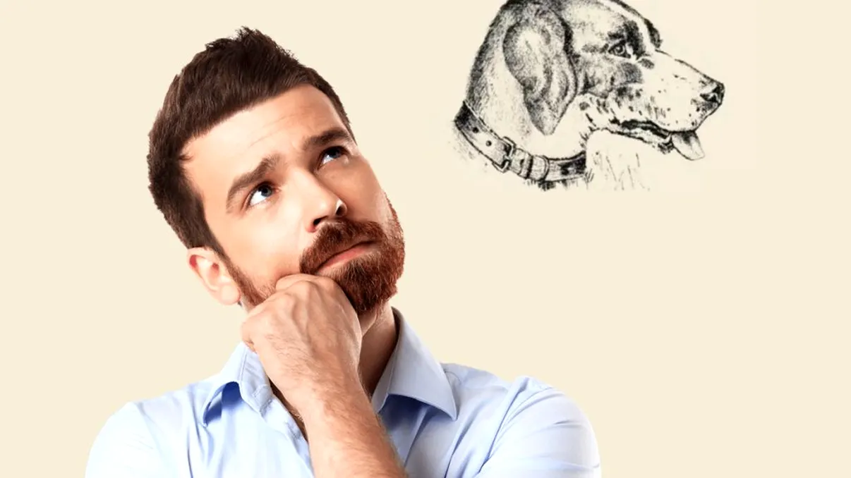 Iluzia optică simplă care arată dacă ai un IQ de geniu. În cât timp găsești fața ascunsă din imagine