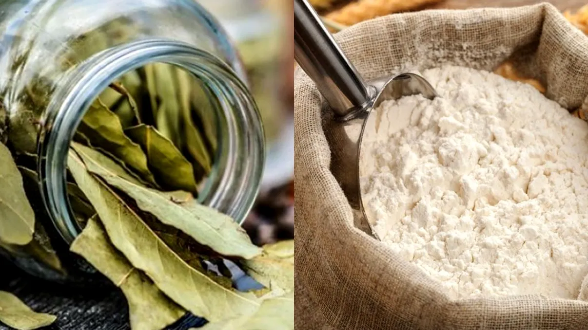 De ce să pui frunze de dafin în borcanul sau punga cu făină. Trucul pe care toate gospodinele trebuie să îl ştie