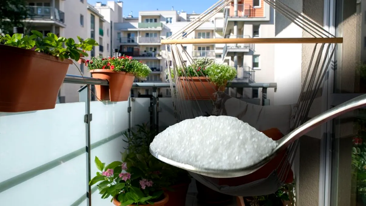 De ce să pui o linguriță cu zahăr în balcon dacă pleci de acasă. Sigur nu știai acest secret