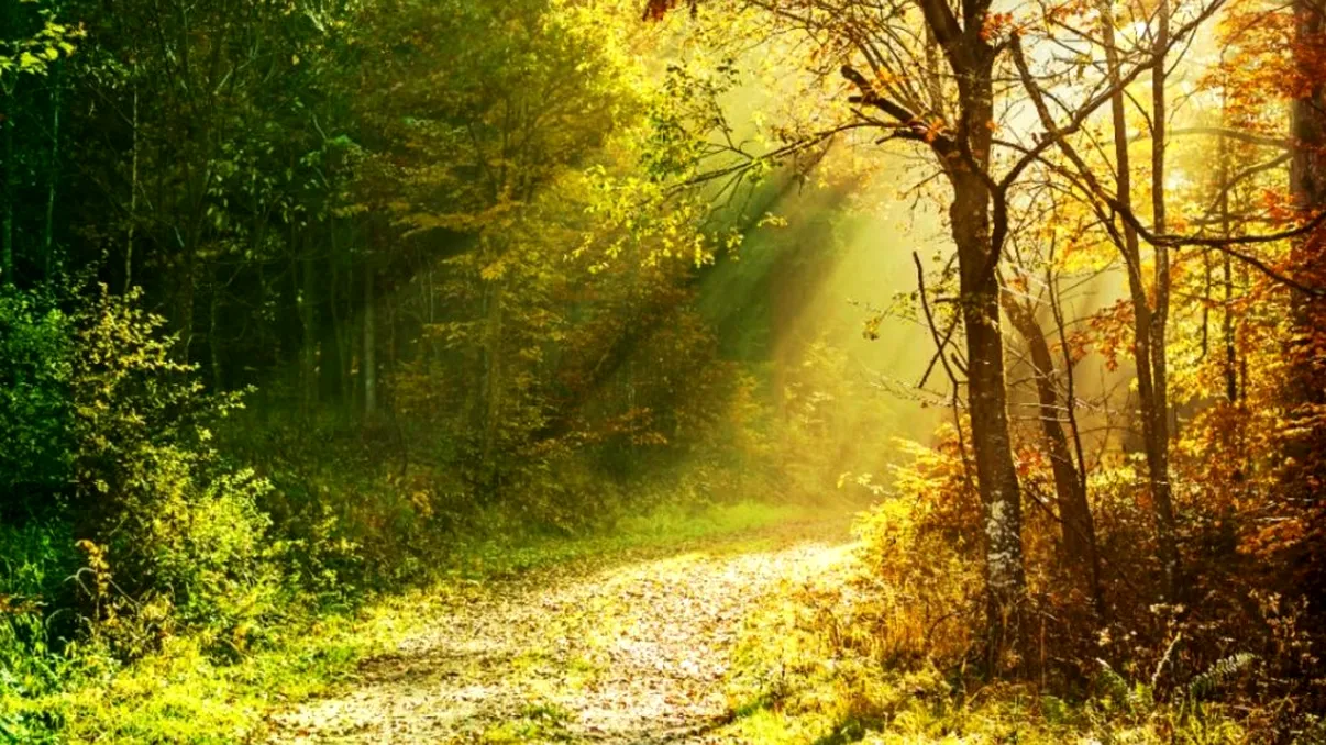 Echinocțiul de toamnă 2022. Tradiții și obiceiuri pe care este bine să le respecți pe 23 septembrie