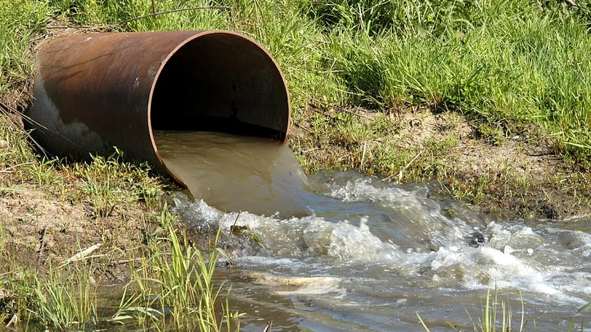 Fenomen ciudat observat lângă Bucureşti. Un râu a devenit verde, localnicii sunt uimiţi de ce se întâmplă