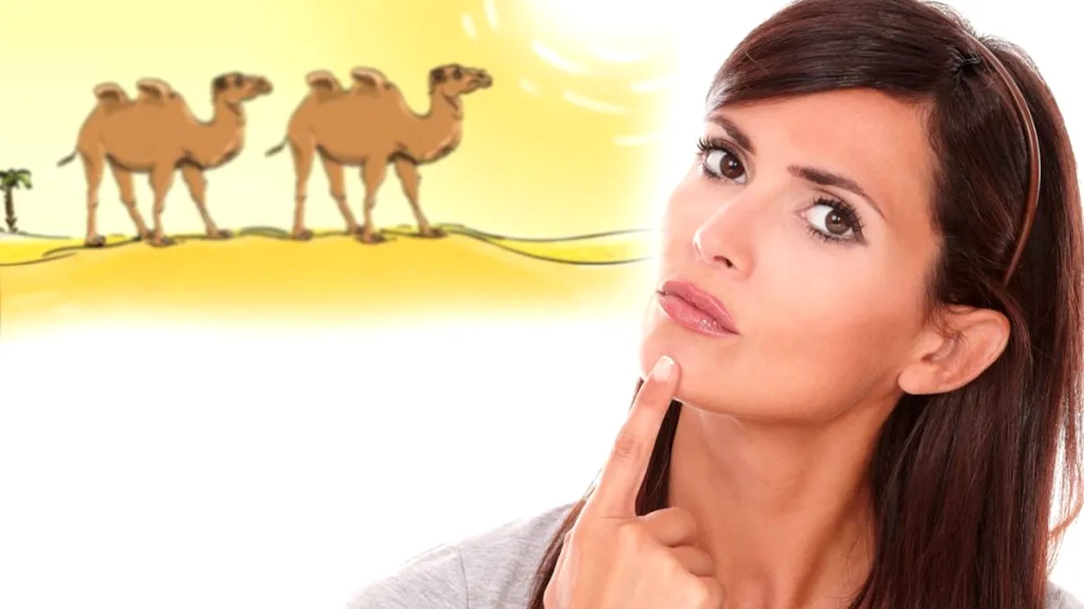 Testul optic care arată dacă ai un IQ ridicat. Găsești greșeala din imagine în 20 de secunde?