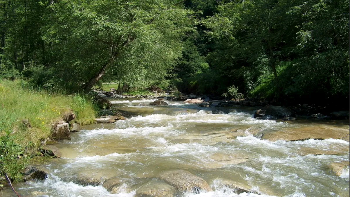 O adevărată comoară, descoperită în adâncurile României de curând. Doar aici se mai găseşte, e unică în lume