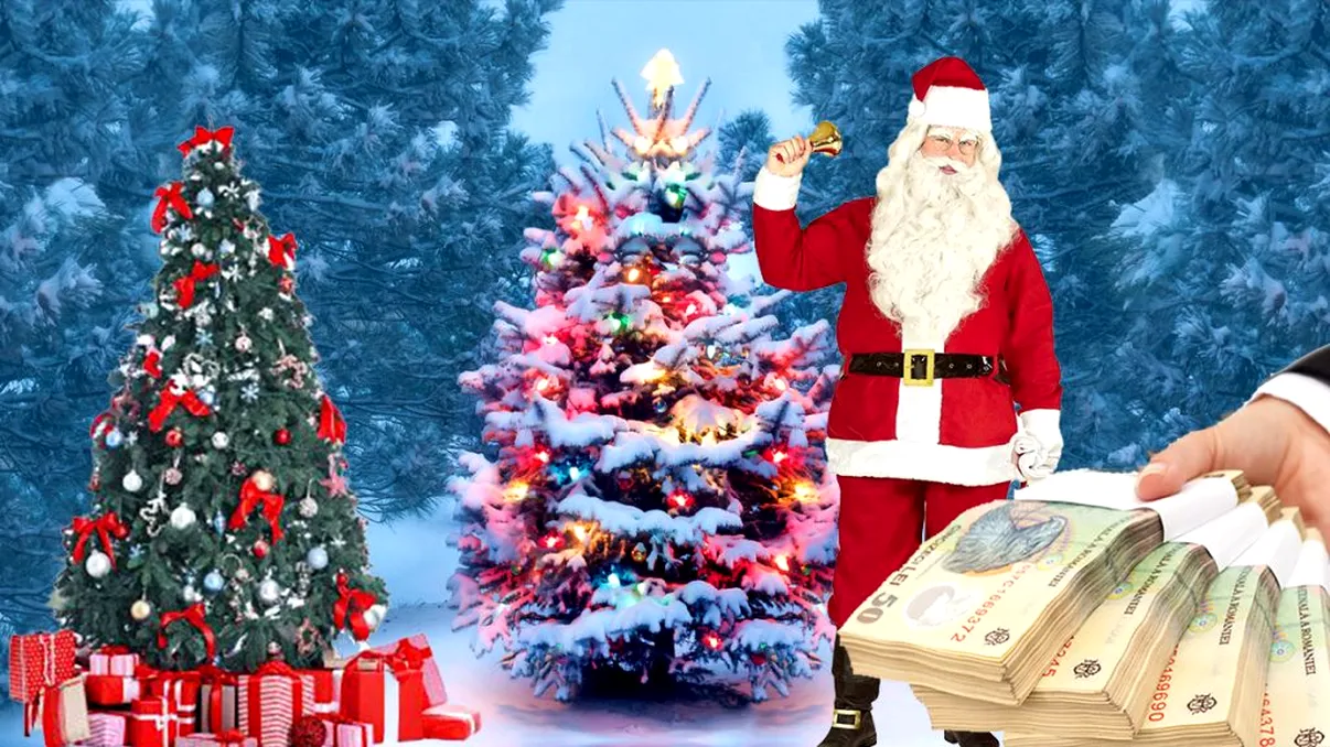 Cât costă brazii de la Romsilva în 2022. Zeci de mii de pomi, scoşi la vânzare. Preţurile sunt mai mici decât în magazine