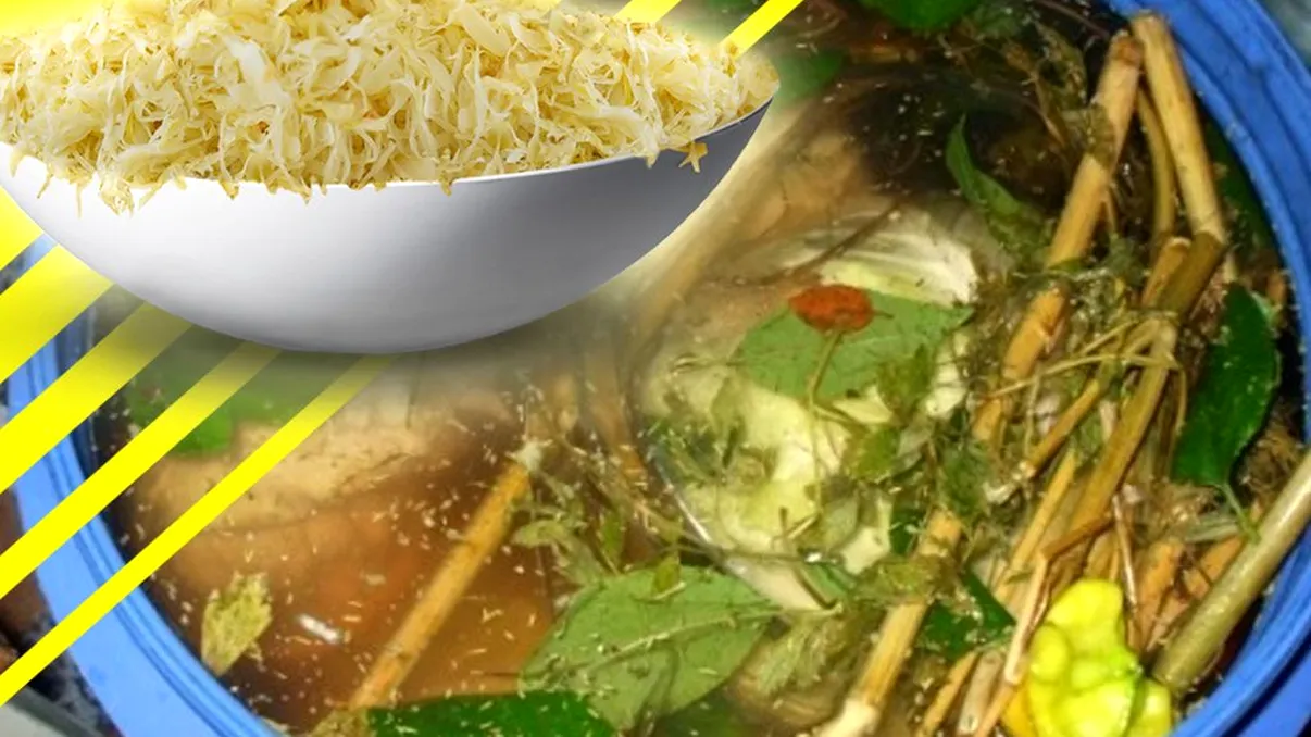 Ce trebuie să faci cu varza murată la două săptămâni după ce ai pus-o în butoi. Doar aşa va rezista până la primăvară