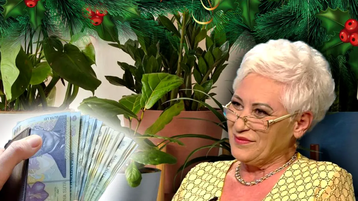 Planta care atrage banii dacă o ai în casă de Crăciun. Sfatul vital al Lidiei Fecioru