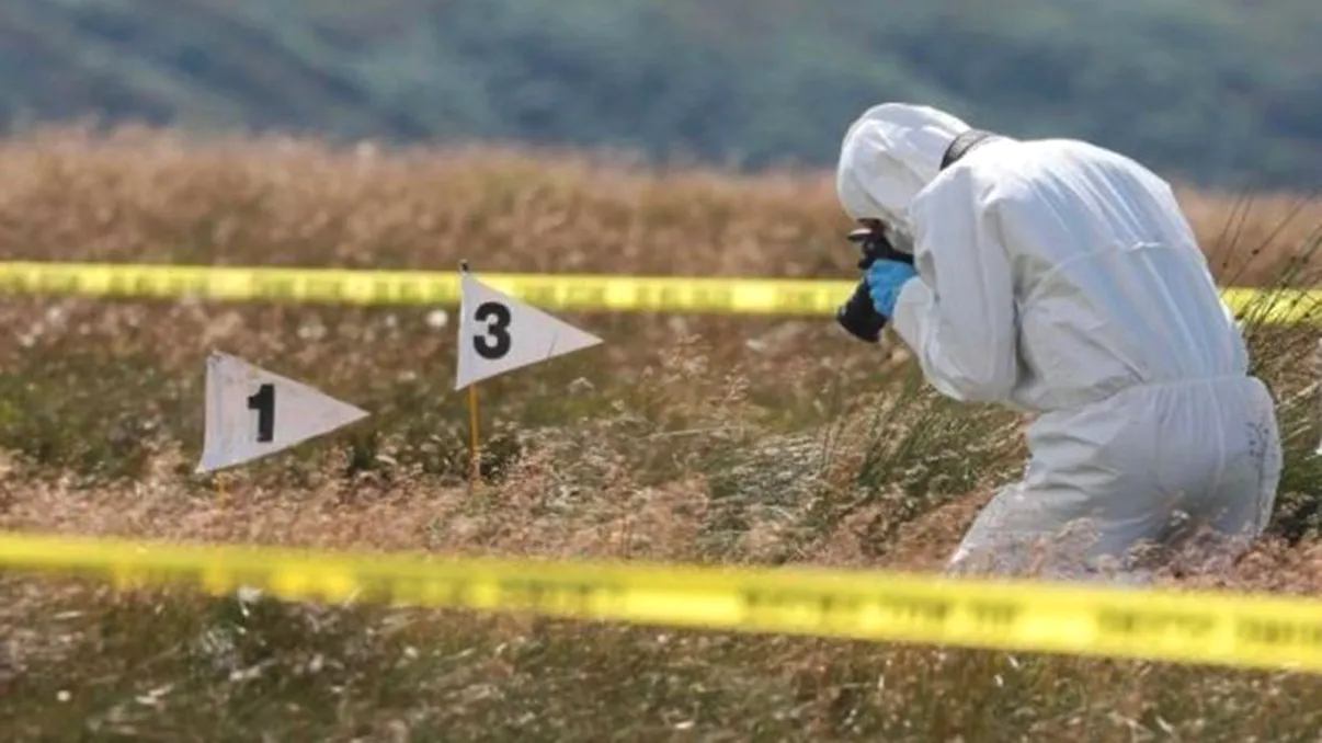 Poliția, în alertă! Un cadavru carbonizat a fost găsit pe un câmp din apropierea Bucureștiului. Ce spun autoritățile