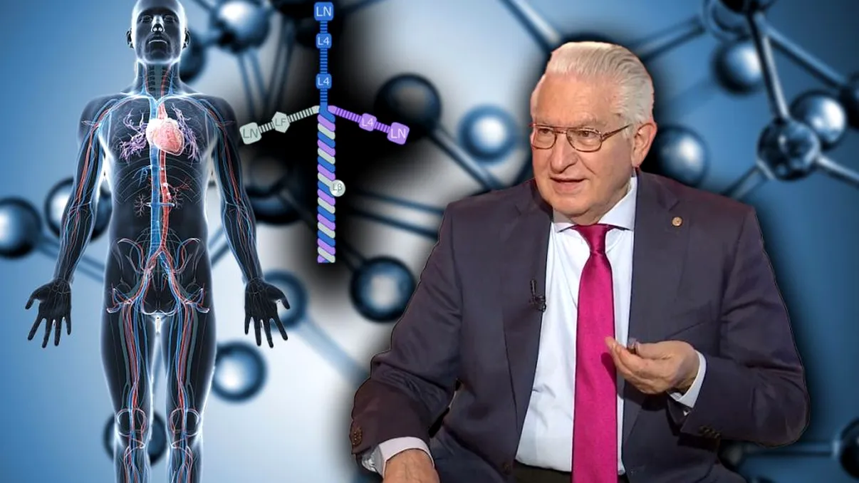 Proteina în formă de cruce din corpul tău. Ce a explicat doctorul Vlad Ciurea
