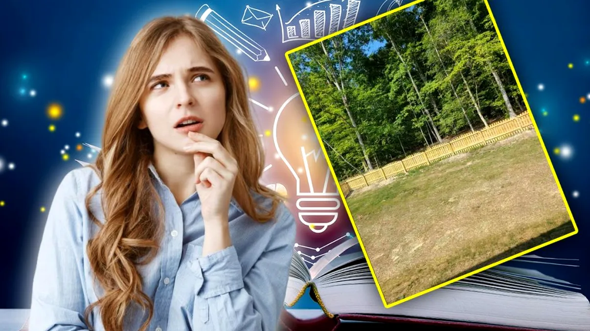 Test de IQ special pentru cei inteligenţi. Doar câţiva oameni reuşesc să găsească câinele ascuns în curte în doar 6 secunde! Încerci?