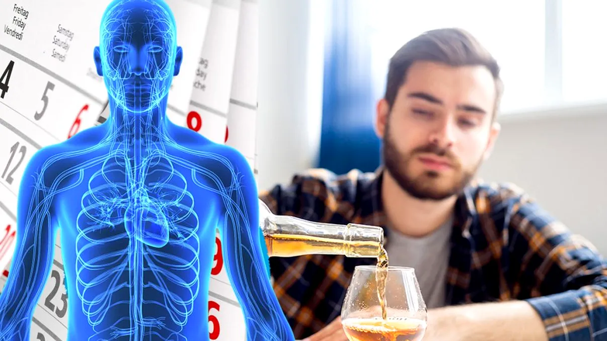 Ce s-a întâmplat cu 4 milioane de oameni care au băut alcool zi de zi, timp de 3 ani. Schimbările care au avut loc, conform unui studiu