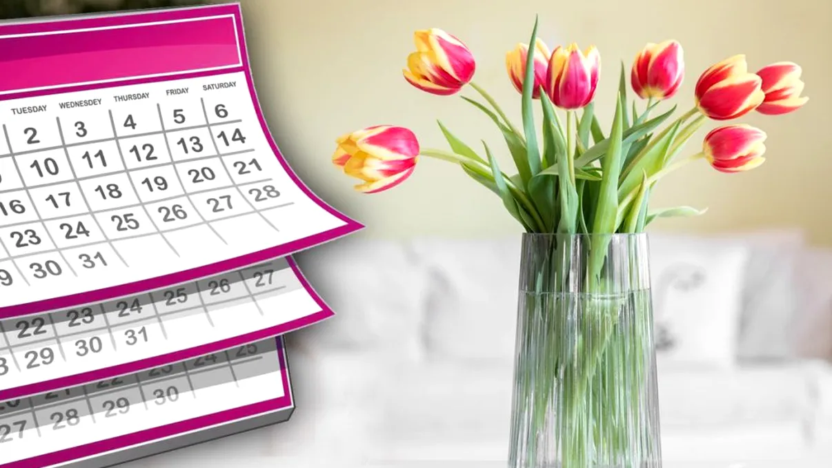 Trucul genial prin care lalelele vor rezista mult timp în vază. Ce să faci înainte să le pui în apă