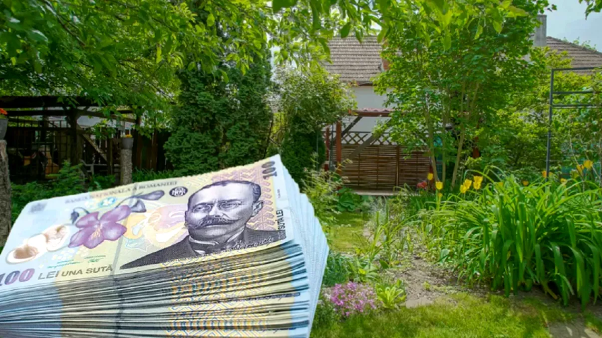 Amendă până la 20.000 de lei pentru cei care fac asta în curte. Legea despre care puțini români au habar, sancțiunile sunt drastice