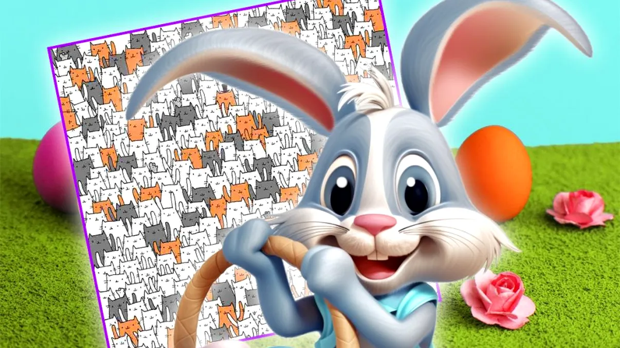 Iepuraşul s-a ascuns printre pisici. Găseşte-l în mai puţin de 11 secunde! Test special de IQ