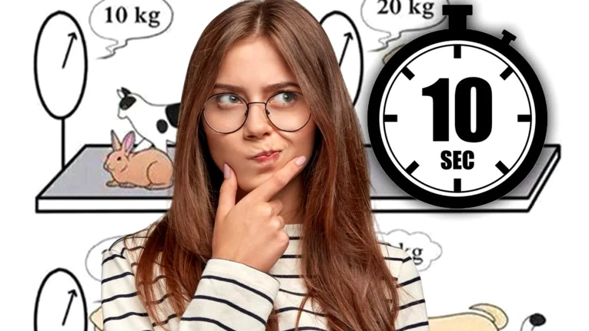 Test care îţi arată cât eşti de inteligent. Ce greutate au pisica, iepurele sau câinele? Ai doar 10 secunde la dispoziţie să ghiceşti!