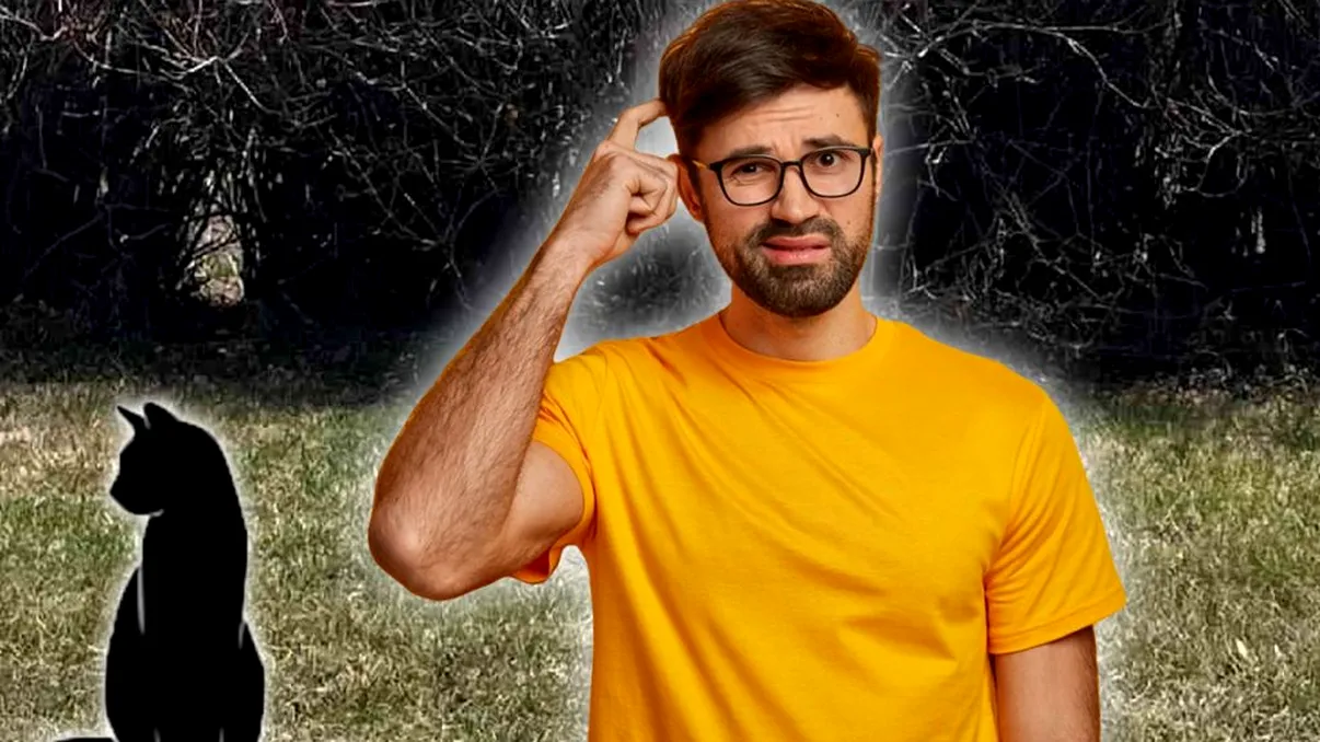 Test pentru cei vigilenţi. Tu vezi pisica ascunsă în tufişuri? Înseamnă că ai ochi de vultur!