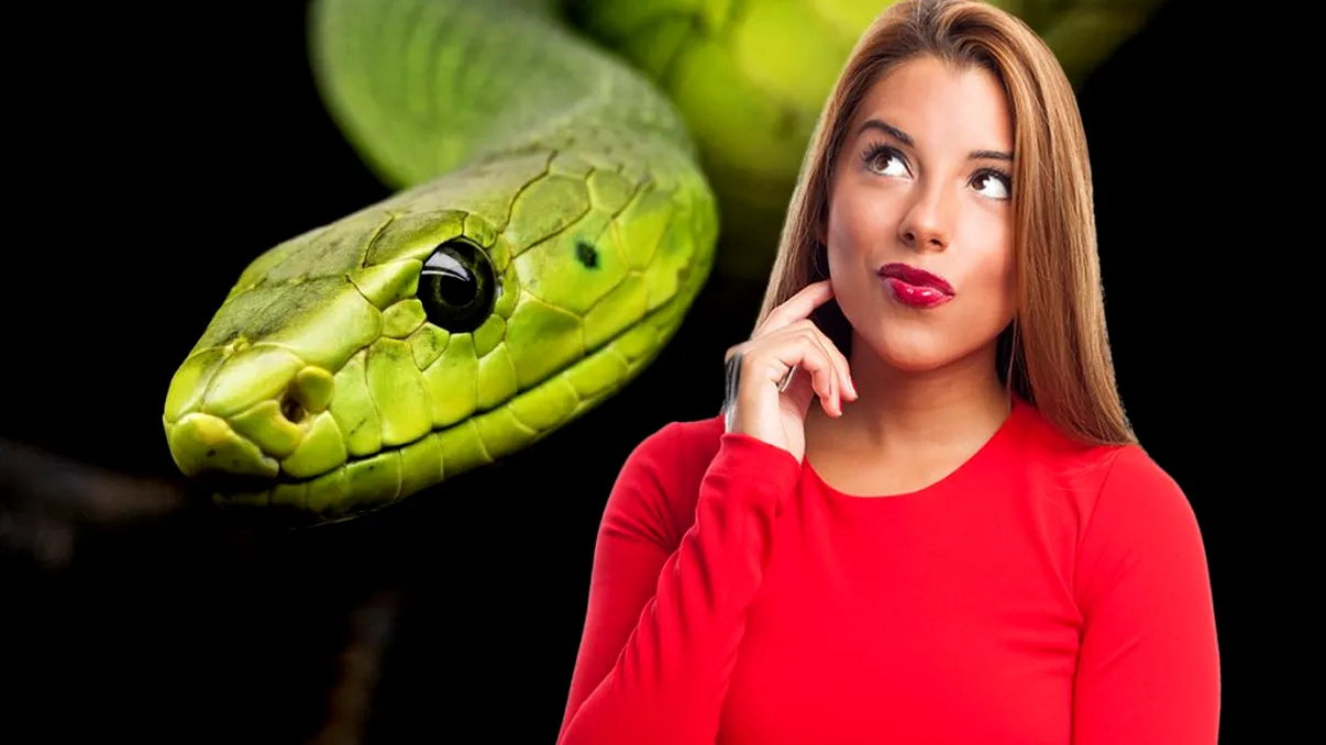 Testul șarpelui arată cine este cel mai mare dușman al tău. Detaliul la care trebuie să fii atent