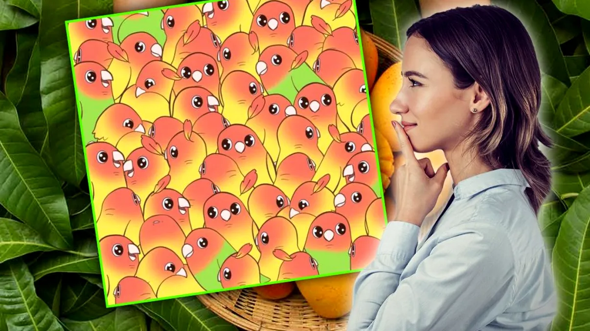Doar 1% dintre cei care încearcă pot observa fructul de mango ascuns printre papagali în mai puţin de 5 secunde! Tu reuşeşti?