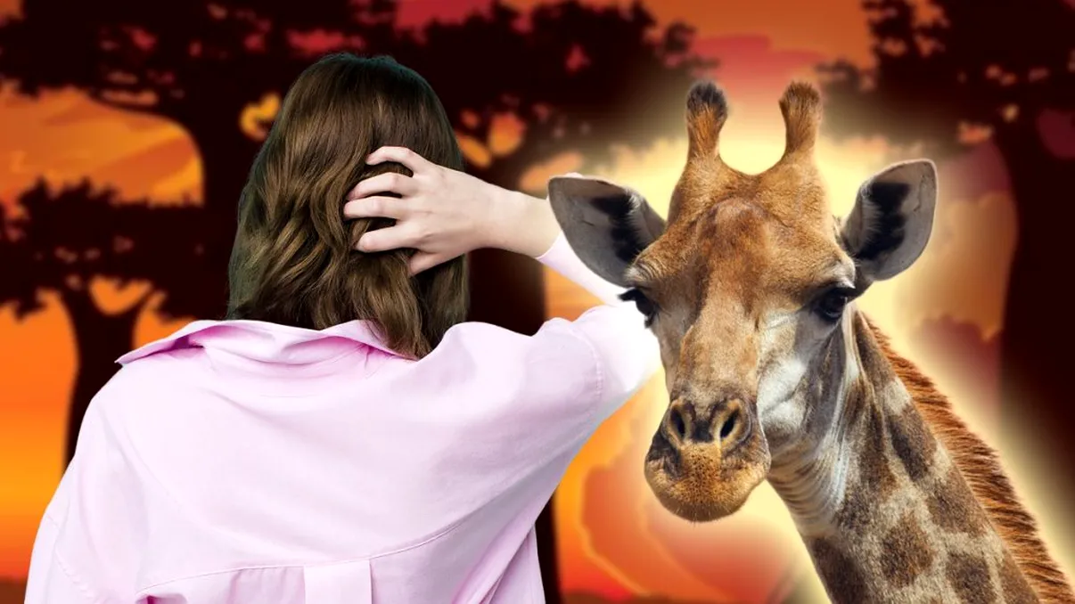 Iluzia optică a weekendului! Găsești girafa din savană în 23 de secunde? Doar 5% dintre oameni reușesc