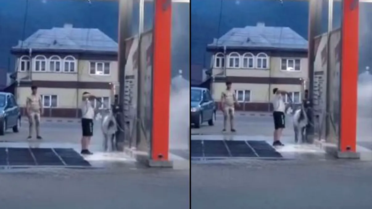 Scene incredibile la o spălătorie auto din Gura Humorului. Cu ce animal s-a prezentat un bărbat. Poliția s-a autosesizat