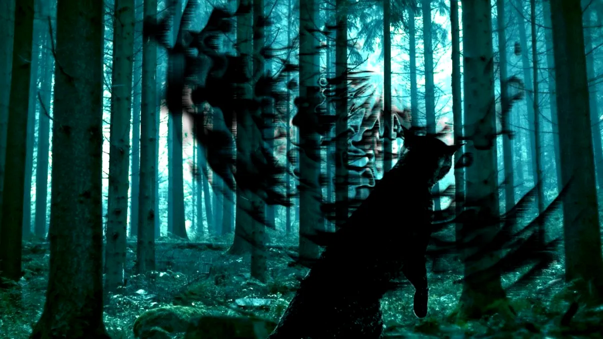 Animalul din România care-și ucide prada cu sânge rece. Mulți cred că este blând, dar e extrem de periculos