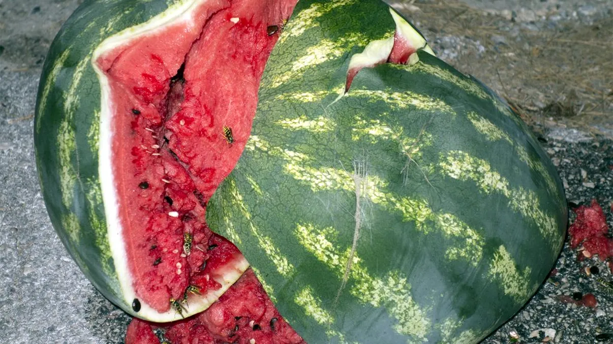 Ce a găsit un bărbat într-un pepene pe care l-a cumpărat din Kaufland România. A mers și la ANPC