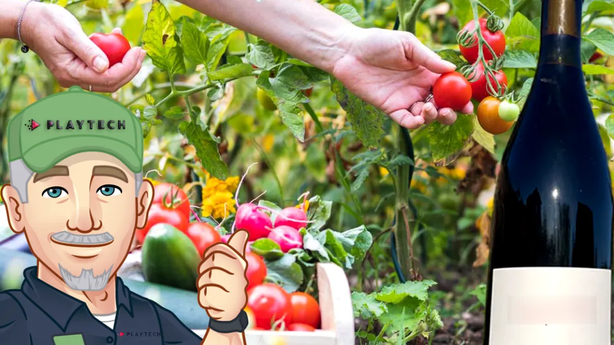 De ce să pulverizezi vin roşu peste legumele din grădină. Totul se va schimba în câteva zile, aşa procedau bunicii