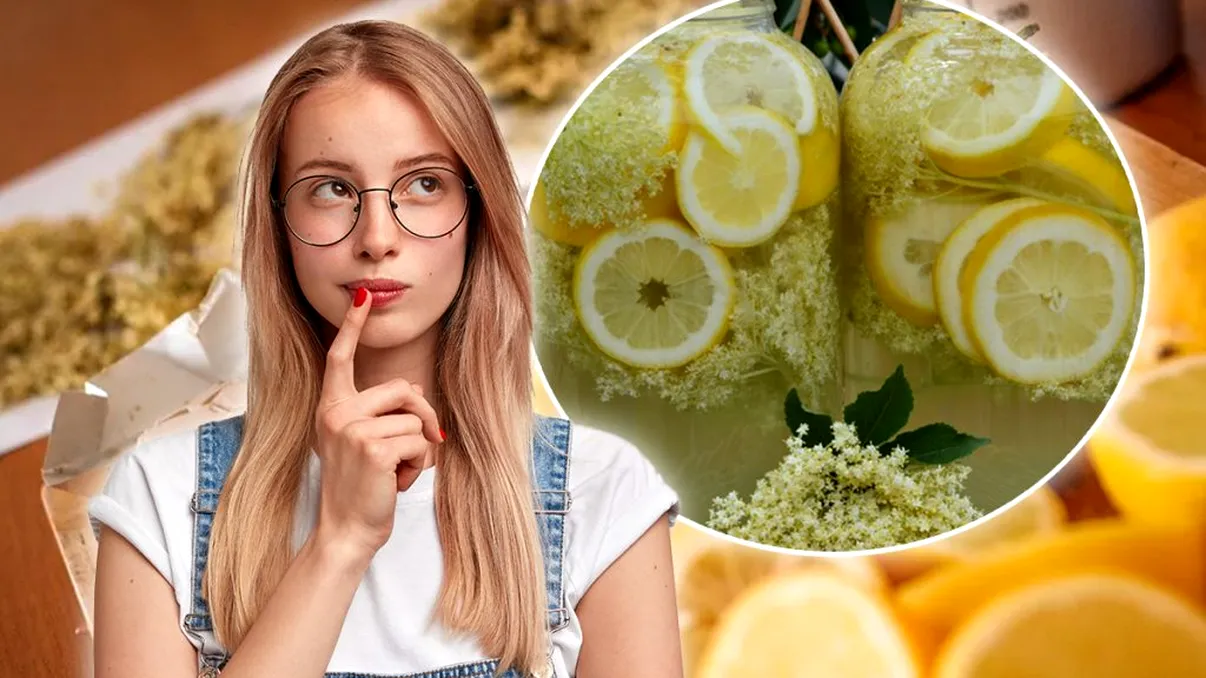 Diferența dintre soc și socată. Ce beneficii au florile de soc pentru corpul tău și când pot deveni periculoase