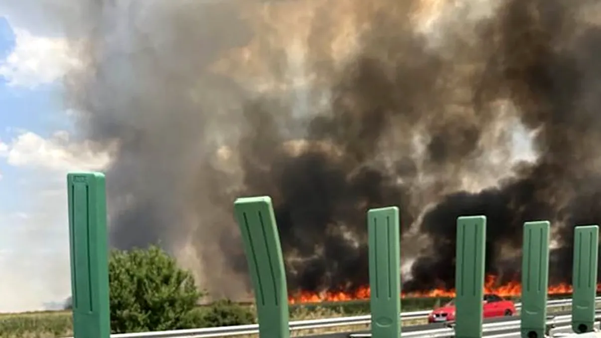 Incendiu pe Autostrada Soarelui. Canicula și seceta au făcut ravagii, specialiștii meteo avertizează