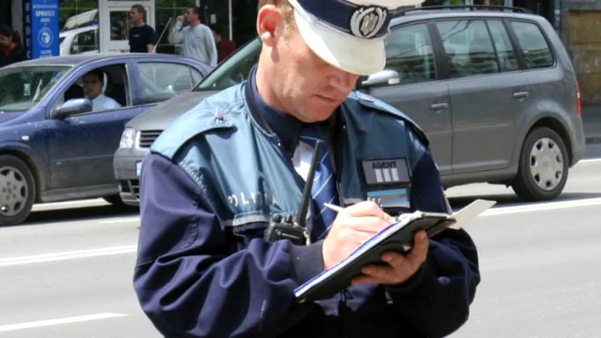 Amenda colosală primită de o femeie din Reșița după ce a abandonat pe stradă o pisică rănită. Oamenii legii nu au avut deloc milă