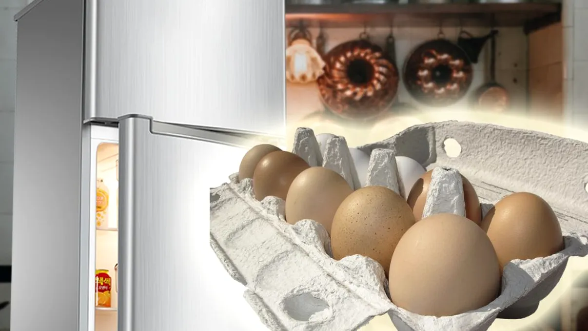 A găsit în frigiderul bunicii ouă congelate în urmă cu 25 de ani. Când a deschis capacul a fost uimită. Peste ce a dat