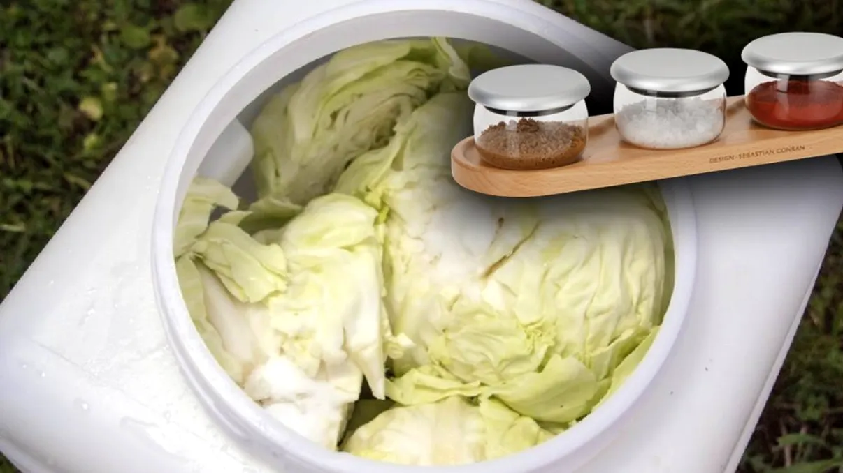 Condimentul care se pune neapărat în butoiul cu varză murată. Vei face cele mai bune sarmale la iarnă