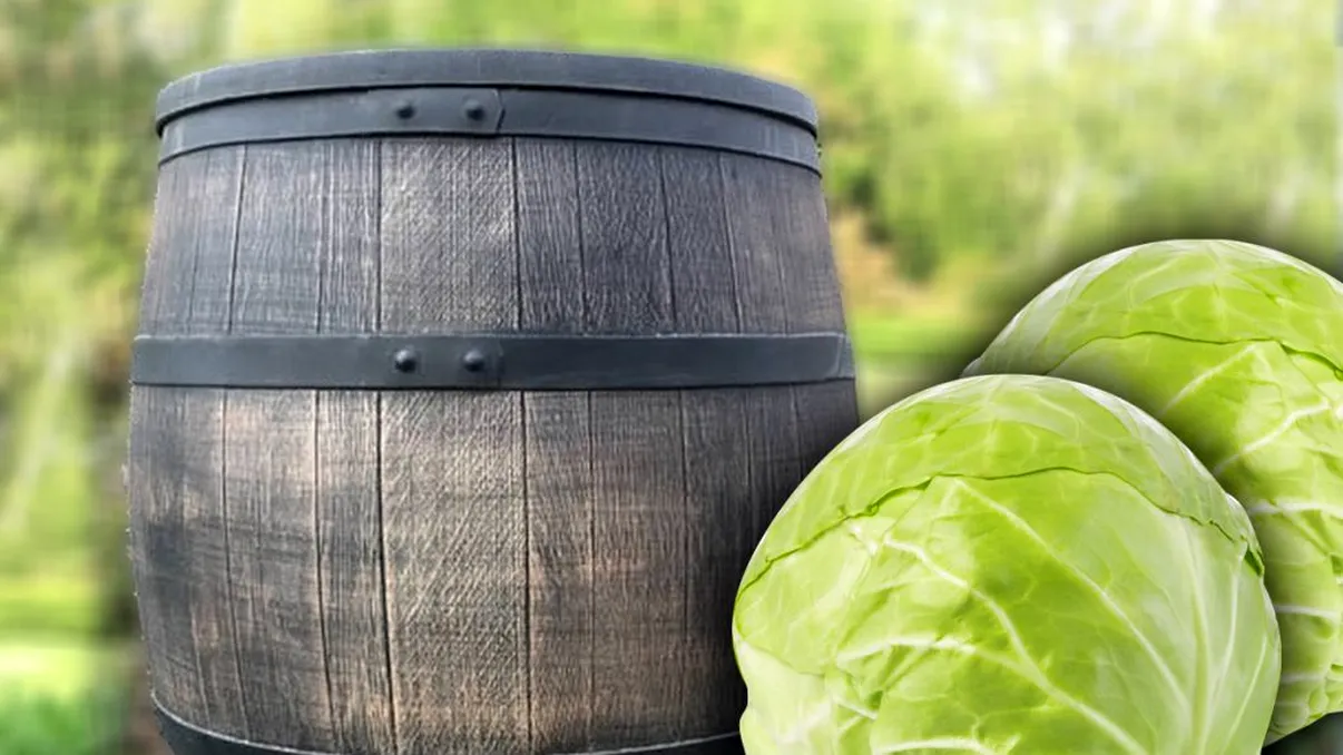 Greşelile pe care le faci când pui varza la murat. Aşa îi strici gustul