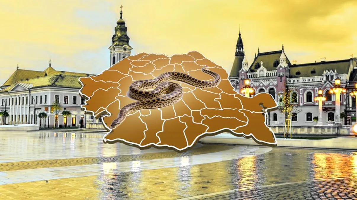Orașul din România invadat de șerpi. Mare atenție pentru cei care ajung aici în vacanță