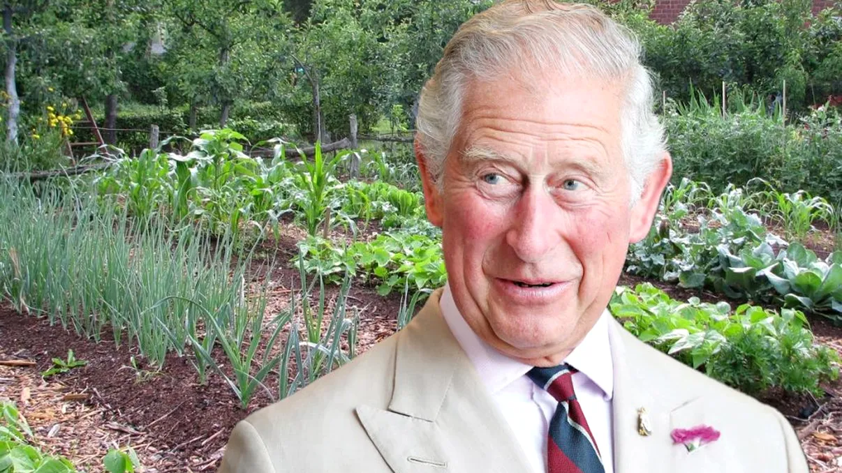 Planta vitalității pe care Regele Charles o cultivă în propria grădină. Asta explică de ce e plin de energie