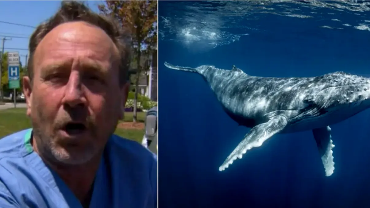 Povestea incredibilă a unui bărbat care a supraviețuit după ce a fost înghițit de o balenă: ”Am crezut că o să mor!”