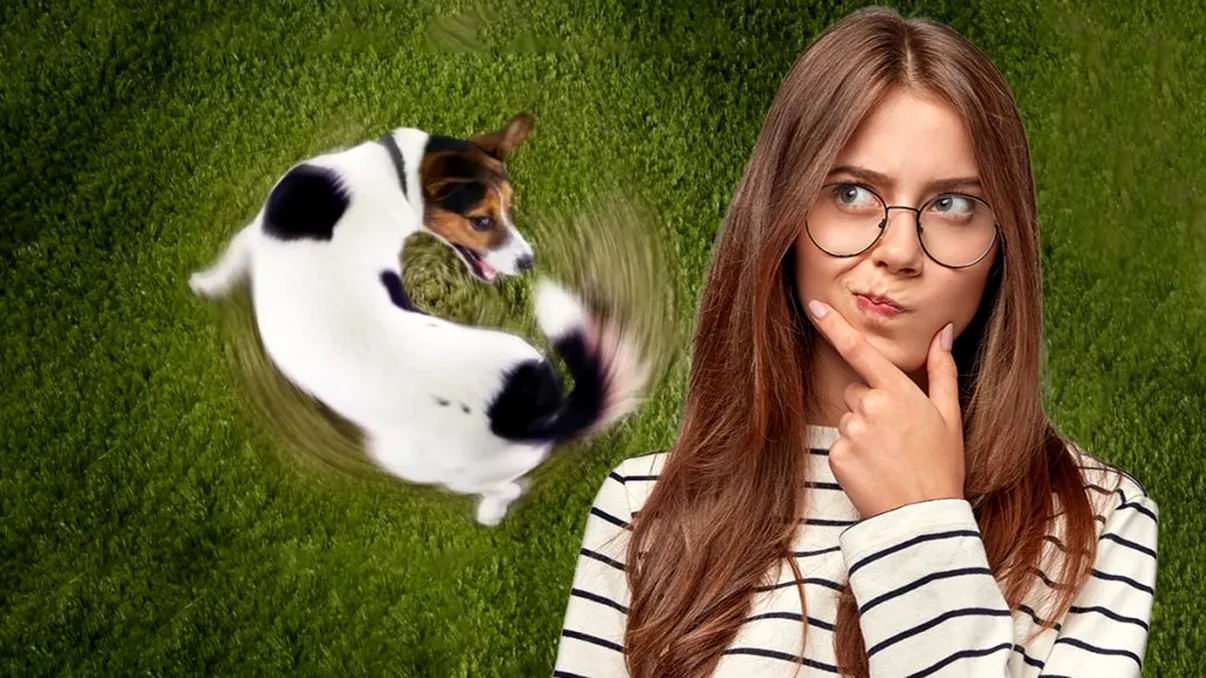 Câinele tău se învârte în jurul cozii? Ce înseamnă şi la ce trebuie să fii atent