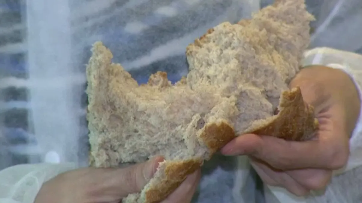 Ce să faci ca pâinea de casă să nu se mai sfărâme. Greșeala pe care o fac multe gospodine