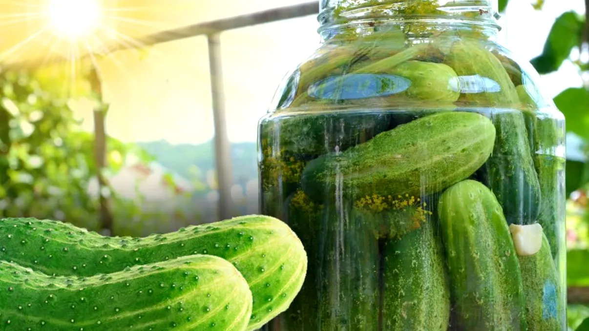 Cum bagă bulgăroaicele castraveții la murat. Ingredientul care îi face tari și crocanți