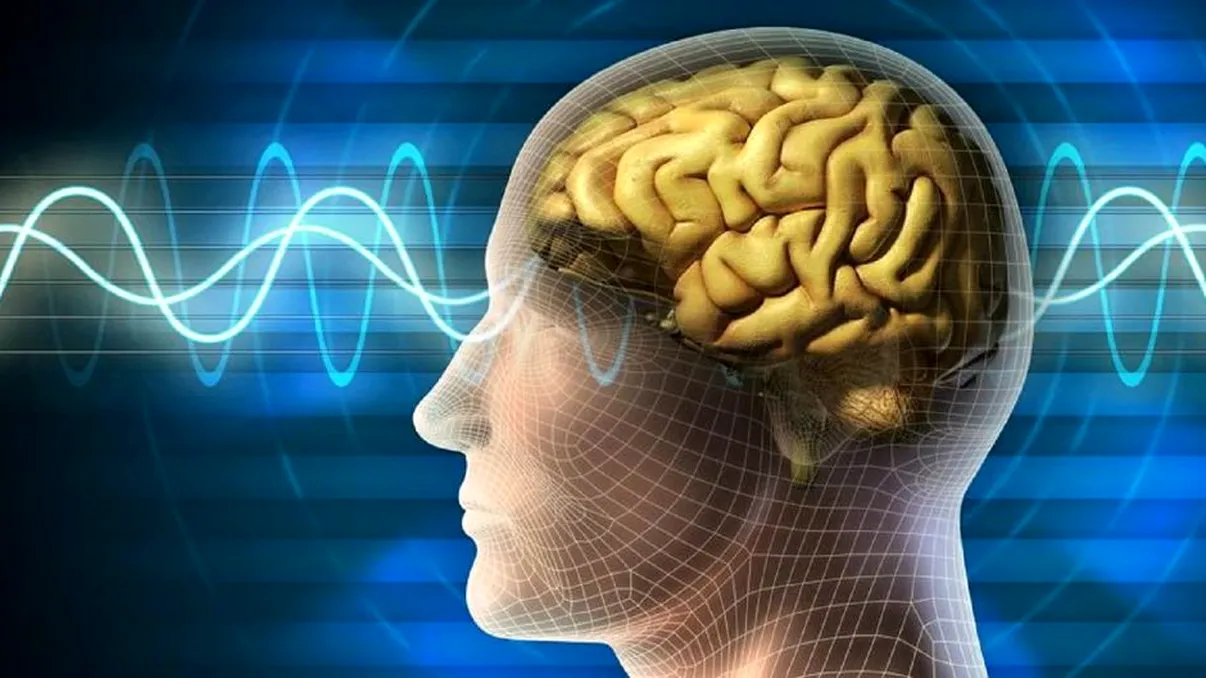 Doar cei cu adevărat foarte inteligenţi pot găsi cuvântul câine în imagine! Testul de IQ care te va provoca