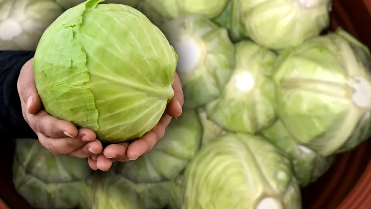 Cum se aşază varza în butoi, de fapt. Doar aşa se va mura în acelaşi timp, secretul bunicilor de la ţară