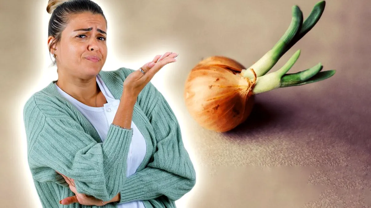 De ce încolțește ceapa. Cum și unde trebuie depozitată ca să nu se întâmple acest lucru